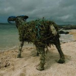 'Ram at the beach'  2005