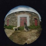 'Wolf and Pig'  2005