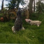 'Wolf and Pig'  2005