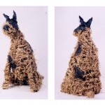 'Madra mor' 2003