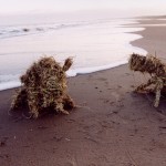 'Incoming tide' 2002