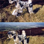'Mountain view' 2002