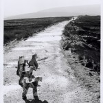 'Terriers' 2002