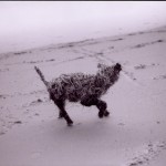 'Ready' 2003