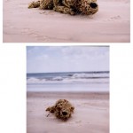 'Relaxing on the beach' 2003