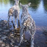 Deer in the Gihon river, Vermont 2009