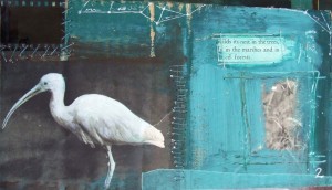 Mixed media / collage