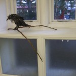 'Crow' 2010