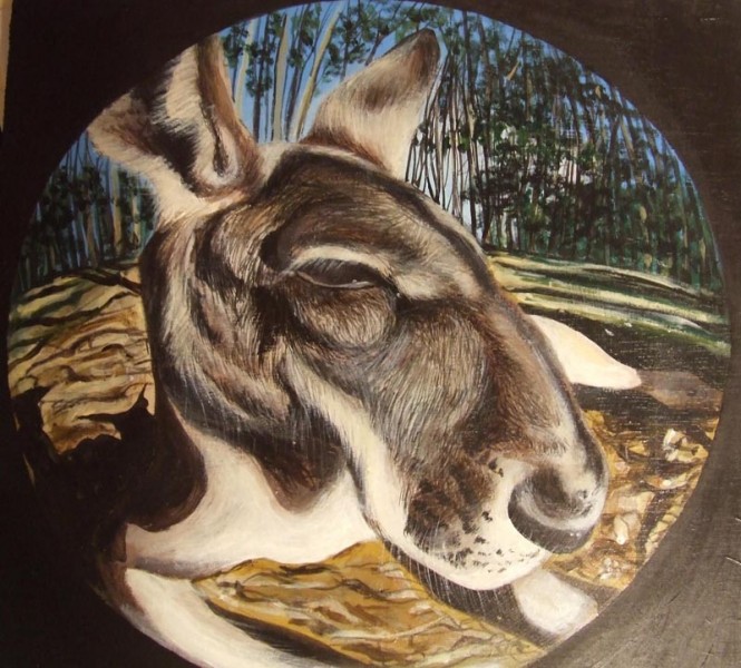 Acrylic on board