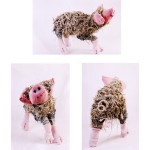 web use updated pig